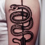 Фото рисунка тату змея 23.11.2018 №051 - snake tattoo photo - tattoo-photo.ru