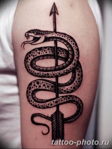 Фото рисунка тату змея 23.11.2018 №051 - snake tattoo photo - tattoo-photo.ru