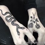 Фото рисунка тату змея 23.11.2018 №052 - snake tattoo photo - tattoo-photo.ru