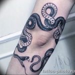 Фото рисунка тату змея 23.11.2018 №053 - snake tattoo photo - tattoo-photo.ru