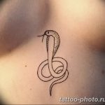 Фото рисунка тату змея 23.11.2018 №054 - snake tattoo photo - tattoo-photo.ru