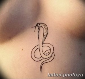 Фото рисунка тату змея 23.11.2018 №054 - snake tattoo photo - tattoo-photo.ru