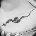 Фото рисунка тату змея 23.11.2018 №056 - snake tattoo photo - tattoo-photo.ru