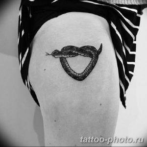 Фото рисунка тату змея 23.11.2018 №057 - snake tattoo photo - tattoo-photo.ru