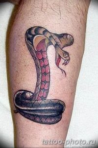 Фото рисунка тату змея 23.11.2018 №058 - snake tattoo photo - tattoo-photo.ru