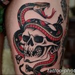 Фото рисунка тату змея 23.11.2018 №061 - snake tattoo photo - tattoo-photo.ru