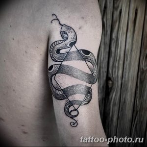 Фото рисунка тату змея 23.11.2018 №063 - snake tattoo photo - tattoo-photo.ru