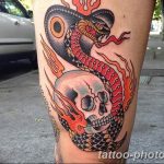 Фото рисунка тату змея 23.11.2018 №064 - snake tattoo photo - tattoo-photo.ru