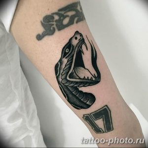 Фото рисунка тату змея 23.11.2018 №065 - snake tattoo photo - tattoo-photo.ru