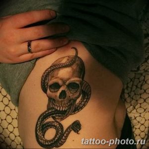 Фото рисунка тату змея 23.11.2018 №067 - snake tattoo photo - tattoo-photo.ru
