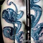 Фото рисунка тату змея 23.11.2018 №070 - snake tattoo photo - tattoo-photo.ru