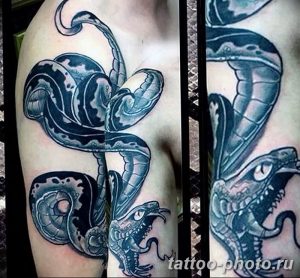 Фото рисунка тату змея 23.11.2018 №070 - snake tattoo photo - tattoo-photo.ru