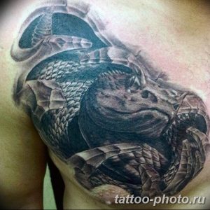 Фото рисунка тату змея 23.11.2018 №071 - snake tattoo photo - tattoo-photo.ru