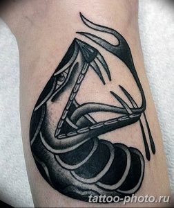Фото рисунка тату змея 23.11.2018 №072 - snake tattoo photo - tattoo-photo.ru