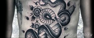 Фото рисунка тату змея 23.11.2018 №073 - snake tattoo photo - tattoo-photo.ru