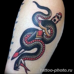 Фото рисунка тату змея 23.11.2018 №075 - snake tattoo photo - tattoo-photo.ru