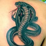 Фото рисунка тату змея 23.11.2018 №079 - snake tattoo photo - tattoo-photo.ru