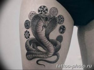 Фото рисунка тату змея 23.11.2018 №080 - snake tattoo photo - tattoo-photo.ru