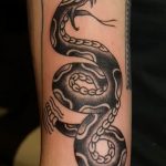 Фото рисунка тату змея 23.11.2018 №083 - snake tattoo photo - tattoo-photo.ru