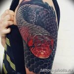 Фото рисунка тату змея 23.11.2018 №084 - snake tattoo photo - tattoo-photo.ru