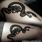 Фото рисунка тату змея 23.11.2018 №085 - snake tattoo photo - tattoo-photo.ru