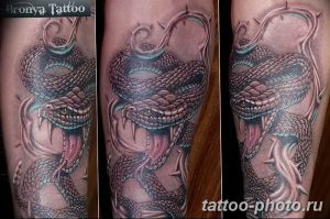 Фото рисунка тату змея 23.11.2018 №087 - snake tattoo photo - tattoo-photo.ru