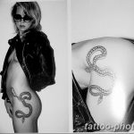 Фото рисунка тату змея 23.11.2018 №091 - snake tattoo photo - tattoo-photo.ru