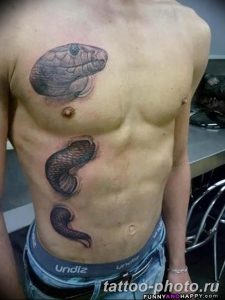 Фото рисунка тату змея 23.11.2018 №093 - snake tattoo photo - tattoo-photo.ru