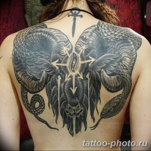 Фото рисунка тату змея 23.11.2018 №094 - snake tattoo photo - tattoo-photo.ru