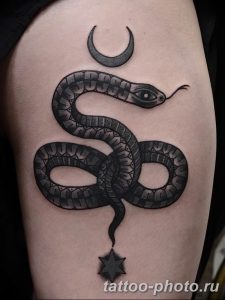 Фото рисунка тату змея 23.11.2018 №098 - snake tattoo photo - tattoo-photo.ru