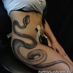 Фото рисунка тату змея 23.11.2018 №099 - snake tattoo photo - tattoo-photo.ru