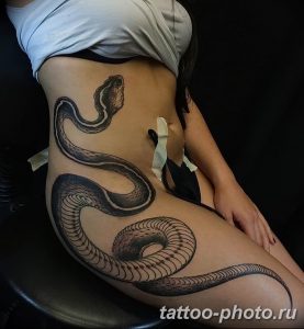 Фото рисунка тату змея 23.11.2018 №099 - snake tattoo photo - tattoo-photo.ru