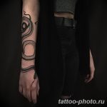 Фото рисунка тату змея 23.11.2018 №101 - snake tattoo photo - tattoo-photo.ru