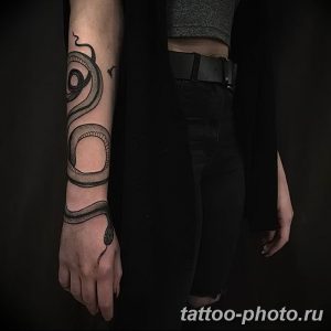 Фото рисунка тату змея 23.11.2018 №101 - snake tattoo photo - tattoo-photo.ru