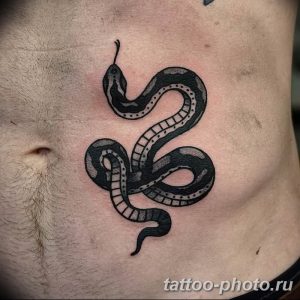 Фото рисунка тату змея 23.11.2018 №102 - snake tattoo photo - tattoo-photo.ru