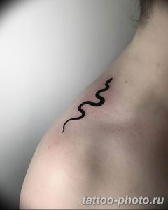 Фото рисунка тату змея 23.11.2018 №103 - snake tattoo photo - tattoo-photo.ru