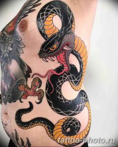 Фото рисунка тату змея 23.11.2018 №104 - snake tattoo photo - tattoo-photo.ru