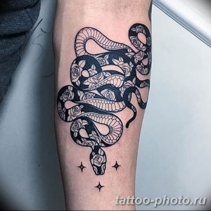 Фото рисунка тату змея 23.11.2018 №105 - snake tattoo photo - tattoo-photo.ru
