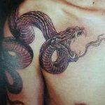 Фото рисунка тату змея 23.11.2018 №107 - snake tattoo photo - tattoo-photo.ru