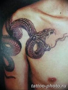 Фото рисунка тату змея 23.11.2018 №107 - snake tattoo photo - tattoo-photo.ru