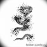 Фото рисунка тату змея 23.11.2018 №111 - snake tattoo photo - tattoo-photo.ru