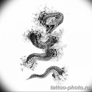 Фото рисунка тату змея 23.11.2018 №111 - snake tattoo photo - tattoo-photo.ru