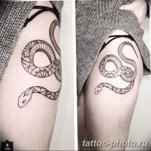 Фото рисунка тату змея 23.11.2018 №113 - snake tattoo photo - tattoo-photo.ru