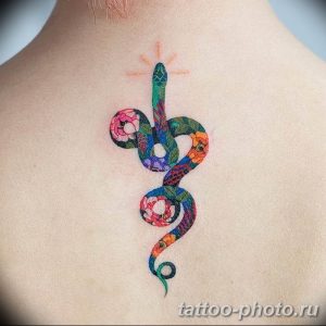 Фото рисунка тату змея 23.11.2018 №114 - snake tattoo photo - tattoo-photo.ru