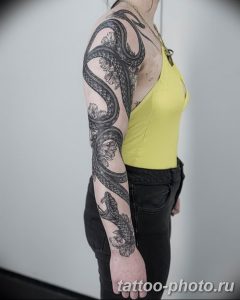 Фото рисунка тату змея 23.11.2018 №116 - snake tattoo photo - tattoo-photo.ru