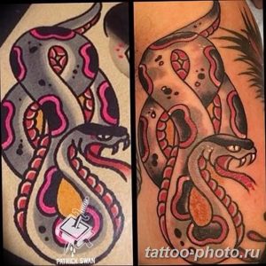 Фото рисунка тату змея 23.11.2018 №120 - snake tattoo photo - tattoo-photo.ru