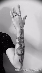 Фото рисунка тату змея 23.11.2018 №121 - snake tattoo photo - tattoo-photo.ru