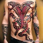 Фото рисунка тату змея 23.11.2018 №124 - snake tattoo photo - tattoo-photo.ru