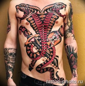 Фото рисунка тату змея 23.11.2018 №124 - snake tattoo photo - tattoo-photo.ru