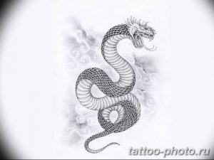 Фото рисунка тату змея 23.11.2018 №125 - snake tattoo photo - tattoo-photo.ru